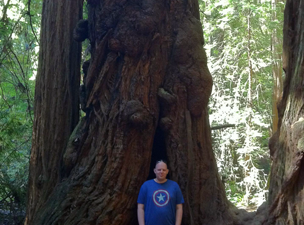 Muir Woods